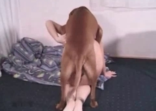 Horny animal gets fucked so deep