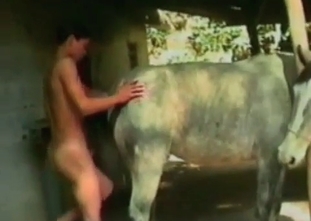 Lustful animal is so great at fucking zoophiles