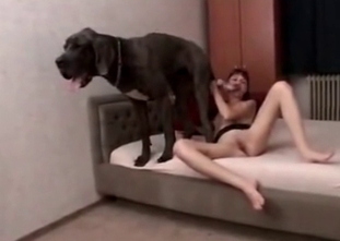 Redhead zoophile is enjoying a wild zoo fuck