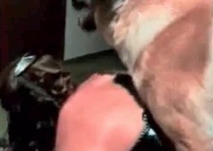Massive hound is punishing a whore in her room