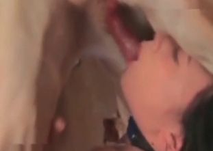 Lovely whore is playing with a puppy