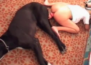 Anal fuck with a sensational stallion