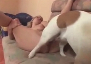 Sensual puppy is tasting this model's cunt