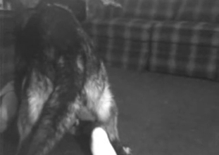 Big black dog fucked my lustful wife