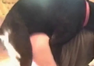 Very fast and hard sex with a black doggy