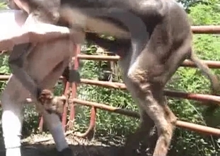 Young man and gigantic dick in his asshole