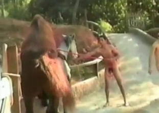The wildest zoo fuck session ever