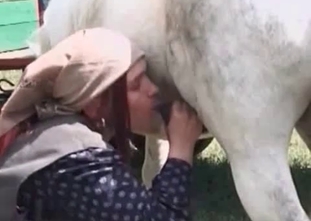 Farm whore is playing dirty games with a stallion
