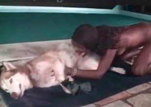 Ebony pervert is showing her animal fuck skills