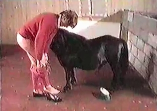 Sexy MILF is taking part in an animal sex