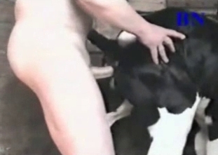 Sensual beast is practicing an anal fuck