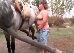 Lucky horse is watching a striptease session